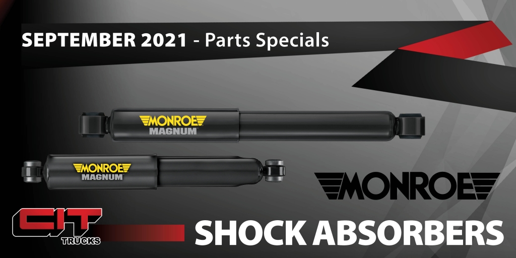 Monroe Shock Absorbers